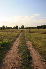 Fototapeta na wymiar Path through a meadow
