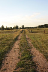 Fototapeta na wymiar Path through a meadow, a farm for horses