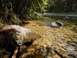 A refreshing stream in the woods in Southeast Alaska.