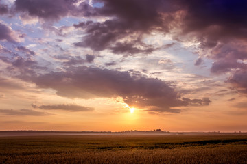 Obraz premium Summer landscape: sunset or sunrise in the open field. Dark clouds over the meadow during the sunset_