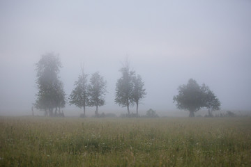 Fototapeta na wymiar Foggy Dawn