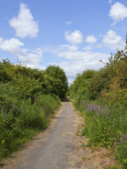 Kiplingcotes nature trail
