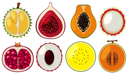 Set of different fruits