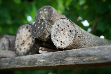 An insect hotel or insect house is an artificially created nesting and wintering aid for insects
