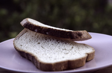 bread