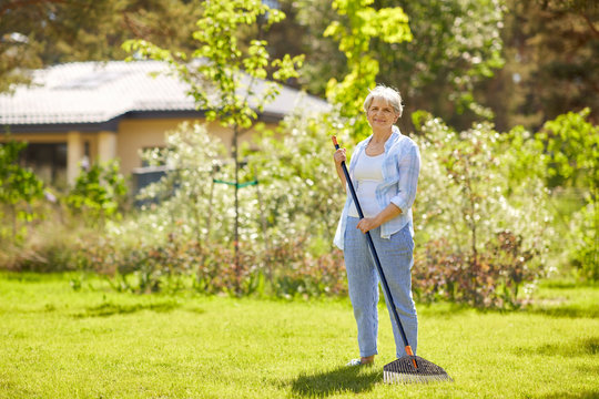 gardening and people concept - happy senior woman with lawn rake working at summer garden