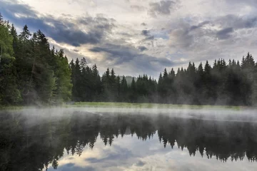 Fototapete Wald im Nebel Morgens am Vogtlandsee