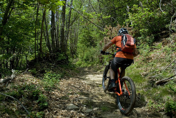 man uses an electric bicycle, e-bike, ebike, mtb, pedal uphill on a dirt road, in a beech forest, during summer, mountain, sport, adventure, freedom, Colazza, Lake Maggiore, Italy