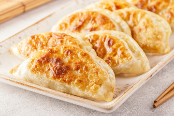 Plate of asian gyoza, dumplings snack.