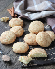 Fototapeta na wymiar Homemade Snickerdoodle (traditional American cookies with cinnamon)