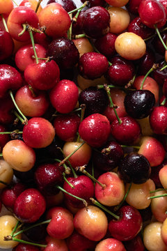 Fresh Sweet and Rainier Cherries