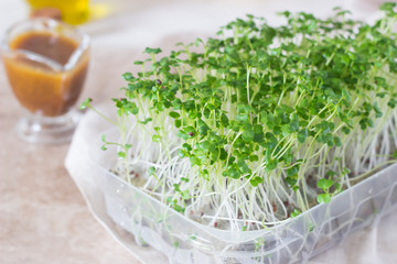 Fresh organic sprout micro greens in plastic box for making fresh salads, smoothie. Healthy raw diet food concept. Selective focus