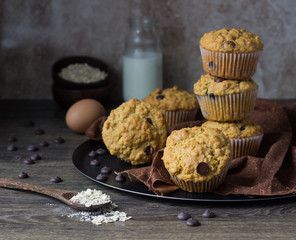 Muffins with chocolate chips (drops) in bakeware (muffin pan) on linen towel. Basic muffin recipe. Homemade muffins for breakfast or dessert.