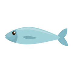fresh fish meat icon