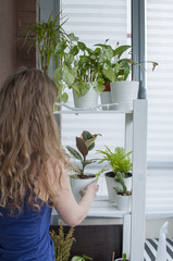 Young girl take care about homeplants