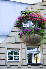 Vienna city, park, garden, balcony. Europe,  Tours Schonbrunn Palace gardens