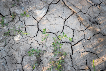 Vertrockneter, ausgelaugter Boden, Dürre / Desertifikation 