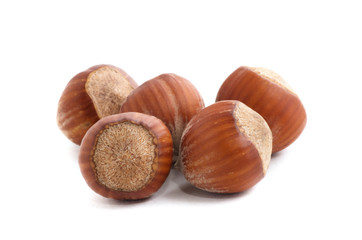 Hazelnuts on white background