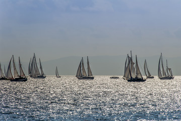 Naklejka premium Didim, Turkey, 22 October 2010: Bodrum Cup Races, Gulet Wooden Sailboats