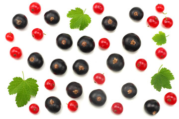 mix of red currant and black currant with green leaf isolated on a white background. healthy food. top view
