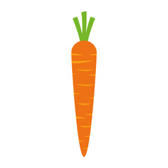 carrot fresh isolated icon vector illustration design