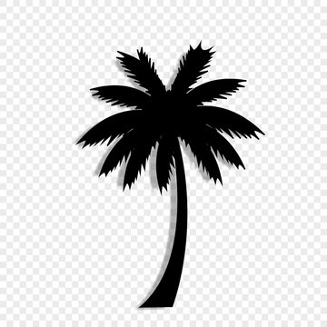 black silhouette of palm tree icon on transparent background.