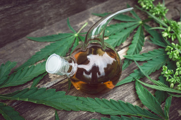 Cannabis essential oil in the vial. Herbal medicine. Naturopathy.