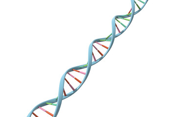 DNA, Genetic Science