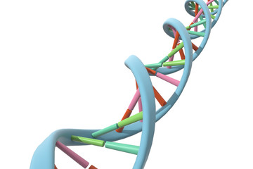 DNA, Genetic Science