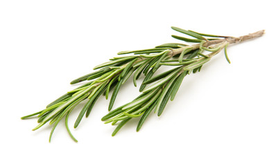 Fototapeta premium Twig of rosemary on a white background
