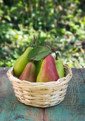 Wicker basket of ripe pears