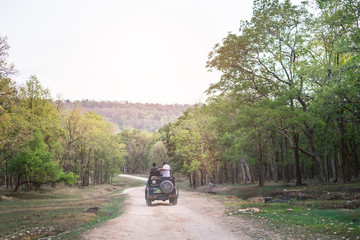 Safari road in the India country. Wilderness and freedom. Adventure experience from safari in India. View on the road above the outdoor car.