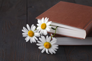 bouquet of white daisies on old book