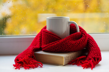 Autumn still life - Warm knitted scarf and cup of tea near a window, copy space.