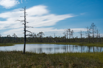 Lahemaa national park
