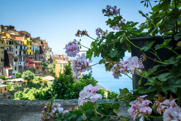 Horizontal View of the city of Corniglia beside a Flower Composition on Blue Sky Background in the Italian National Park of the Cinque Terre. - obrazy, fototapety, plakaty