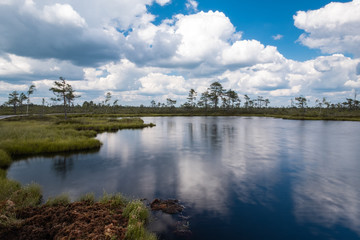 Soomaa national park