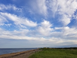 Ocean Coast sandy beach and blue horizon