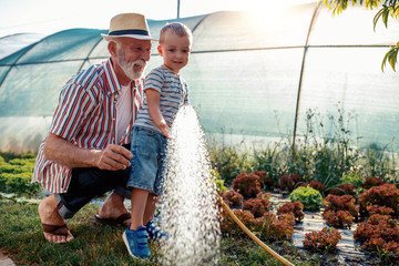 Grandfather and grandson in garden