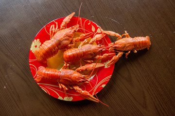 Boiled crayfish on a plate