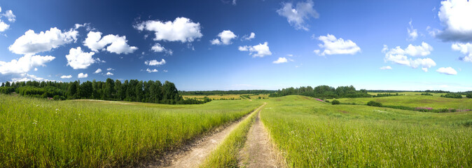 Summer panorama landscape with country road in the field of green grass lit with sunshine and...