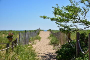 walkway boardwalk to sandy beach on Atlantic ocean