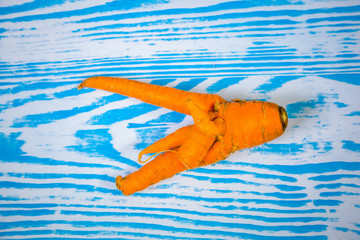 Farm fresh ugly carrots bent and twisted. Funny carrot in the shape of human fingers. Funny carrot...