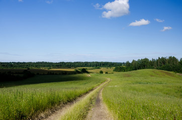 Summer landscape with country road in the field of green grass and clouds and shadows on the ground