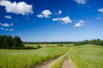 Fototapeta na wymiar Summer landscape with country road in the field of green grass lit with sunshine and beautiful clouds