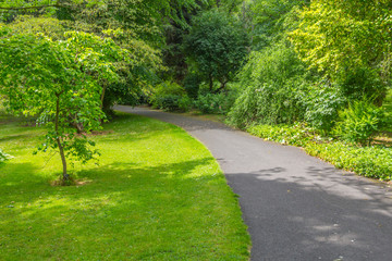 Trees and grass in Botanic Garden