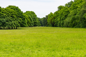 Fields and trees in Phoenix park