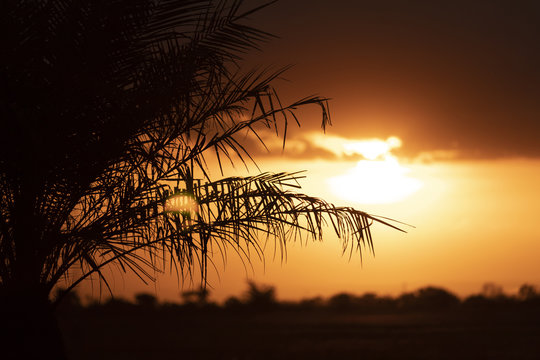 Sunset in Uberaba - MG - Brazil