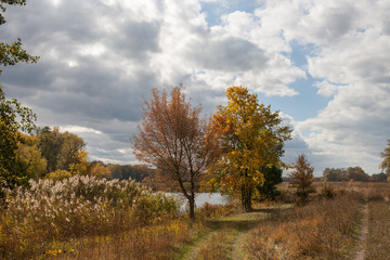 Autumn river landscape