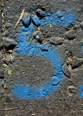 Written Wording in Distressed State Typography Found Number Five 5 